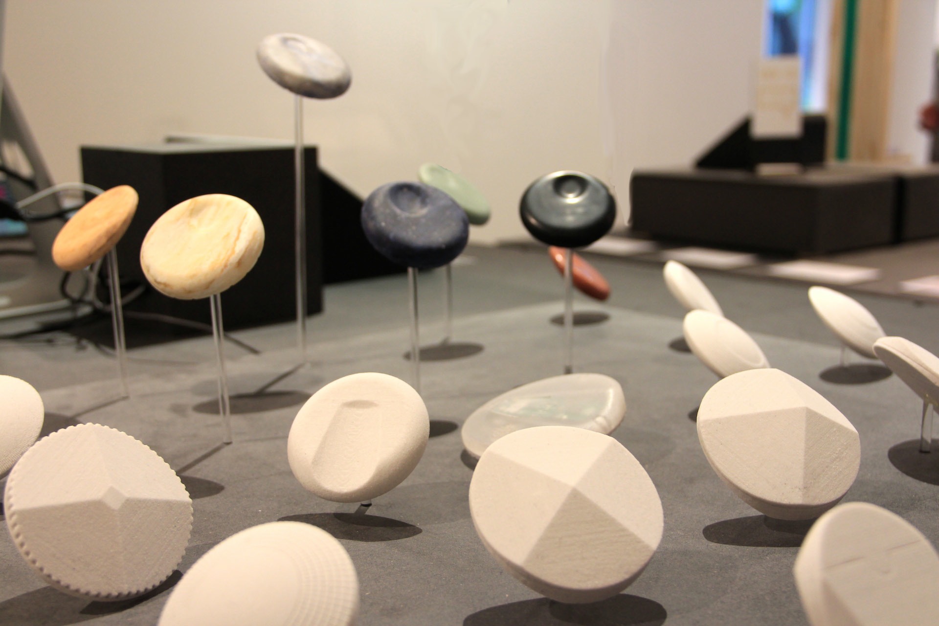 Tinc — Giulio Ammendola